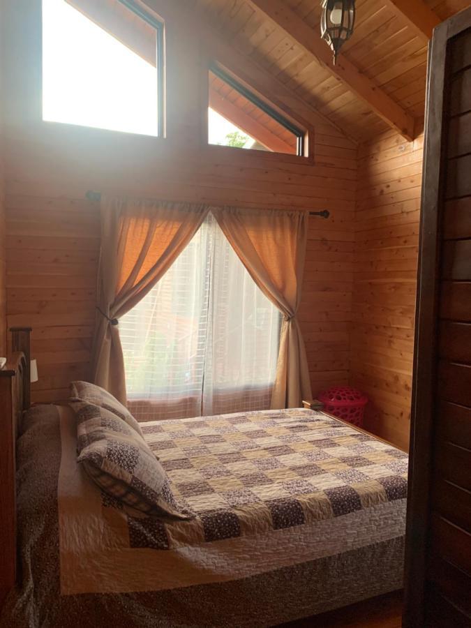 Pura Vida Cabinita Villa Увита Екстериор снимка
